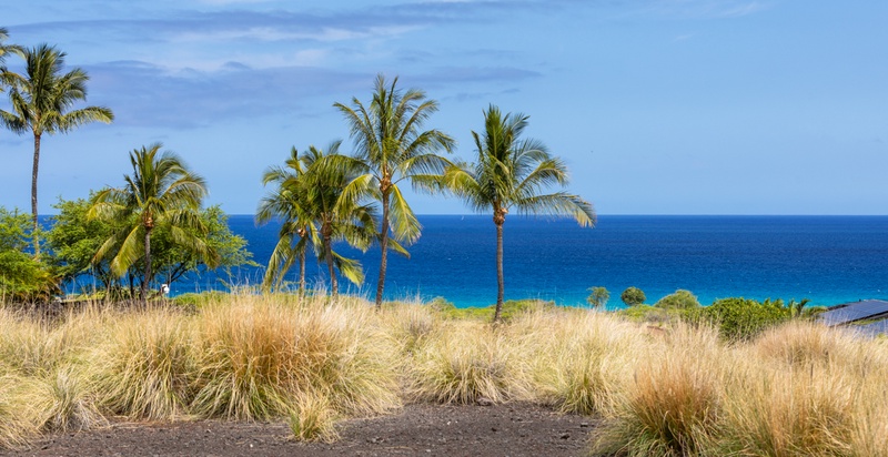 72-3211 KAPUAHI MANINI PL, Kailua-Kona, HI 96740